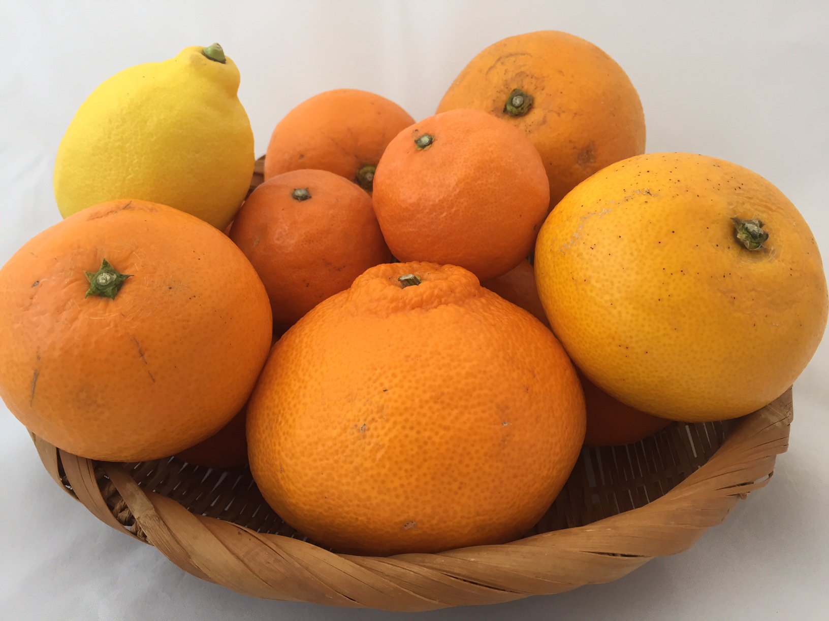 ���˓����k